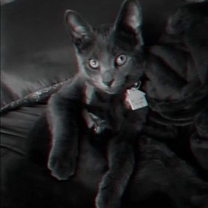 Meet your Posher, Chelsea